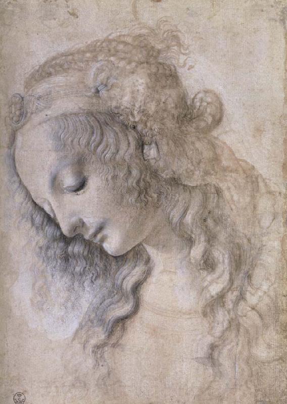 LEONARDO da Vinci Woman portrait